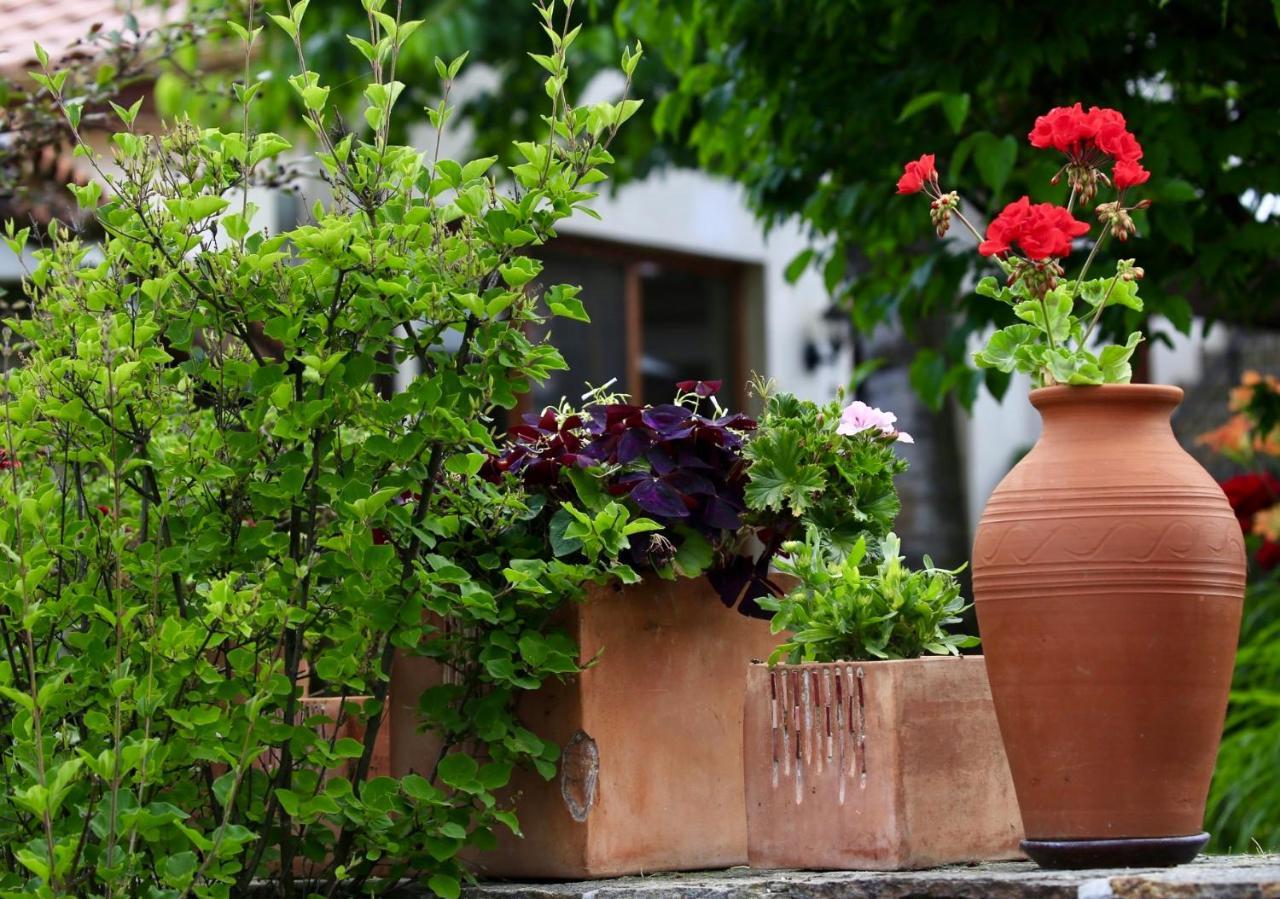 Iliikova House Otel Kalofer Dış mekan fotoğraf