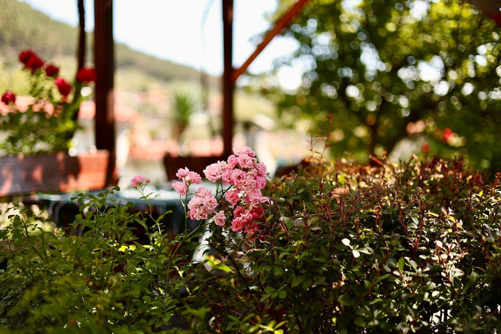 Iliikova House Otel Kalofer Dış mekan fotoğraf
